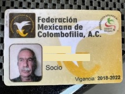 Asociaciones Colombófilas en México